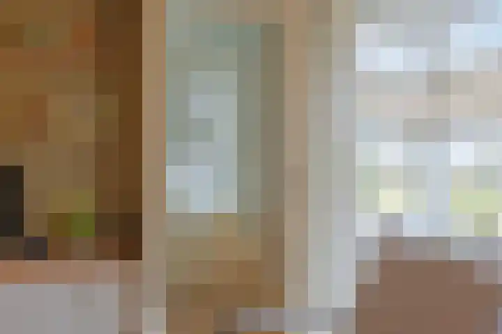 De Reimer 15 Zenderen thumbnail 12