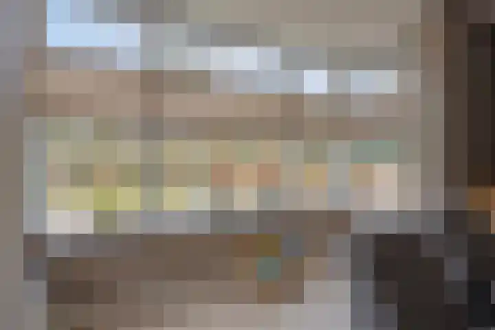 De Reimer 15 Zenderen thumbnail 13