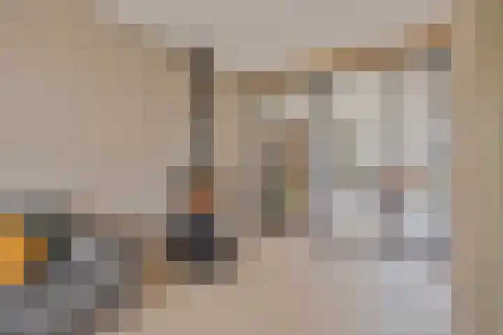De Reimer 15 Zenderen thumbnail 14