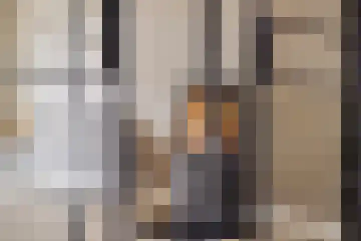 De Reimer 15 Zenderen thumbnail 15
