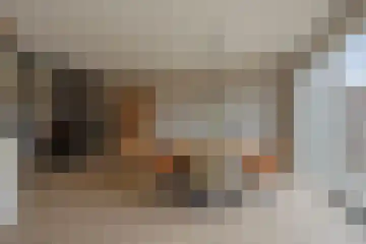 De Reimer 15 Zenderen thumbnail 16