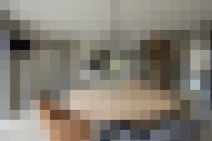 De Reimer 15 Zenderen thumbnail 18