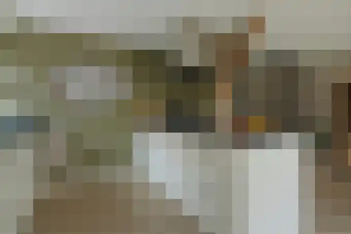De Reimer 15 Zenderen thumbnail 20