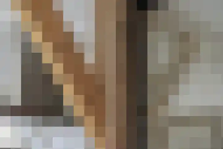 De Reimer 15 Zenderen thumbnail 21