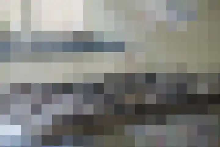 De Reimer 15 Zenderen thumbnail 22