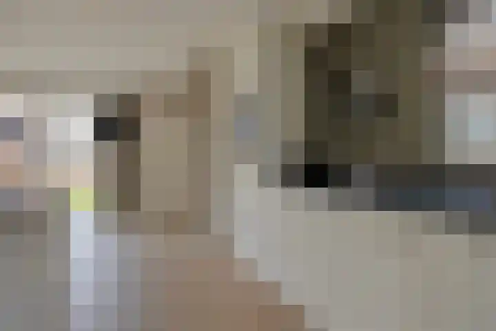 De Reimer 15 Zenderen thumbnail 23