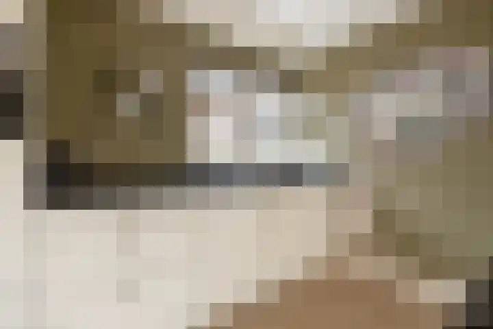 De Reimer 15 Zenderen thumbnail 24