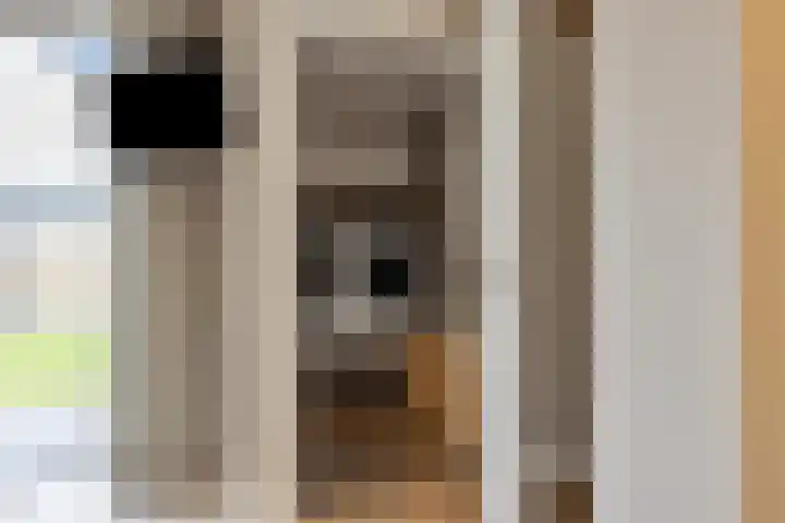 De Reimer 15 Zenderen thumbnail 26