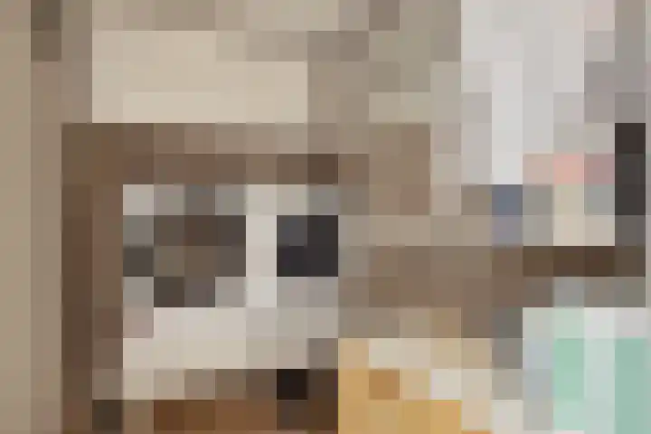 De Reimer 15 Zenderen thumbnail 27