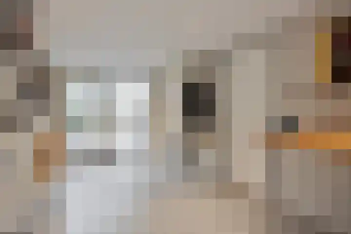 De Reimer 15 Zenderen thumbnail 29