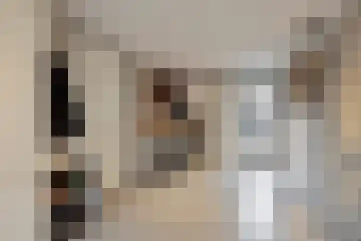 De Reimer 15 Zenderen thumbnail 30