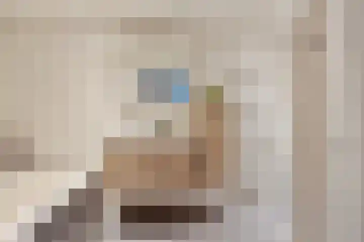 De Reimer 15 Zenderen thumbnail 34