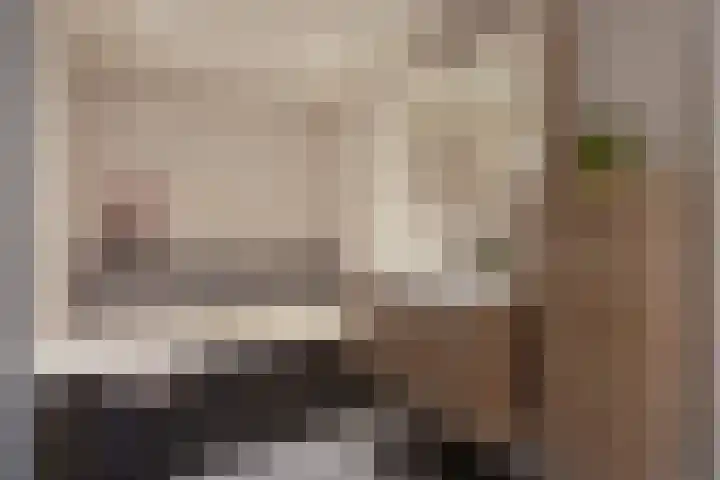 De Reimer 15 Zenderen thumbnail 36