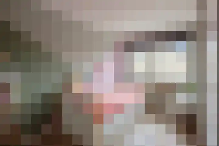 De Reimer 15 Zenderen thumbnail 37