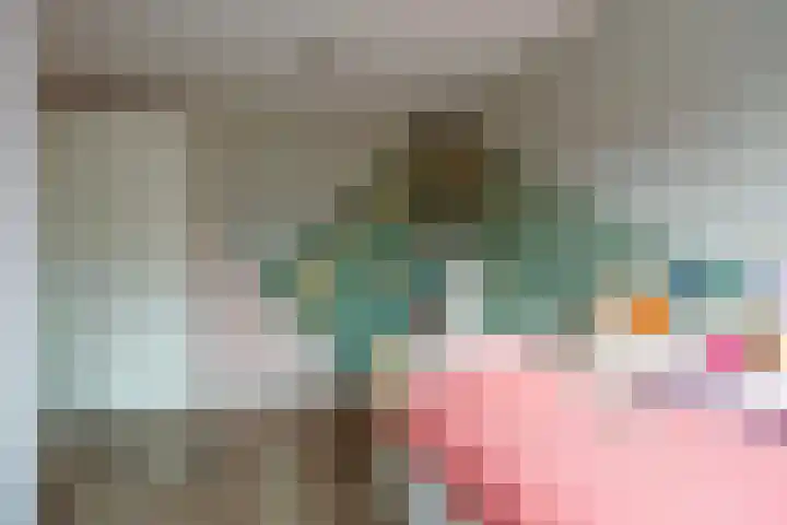 De Reimer 15 Zenderen thumbnail 38