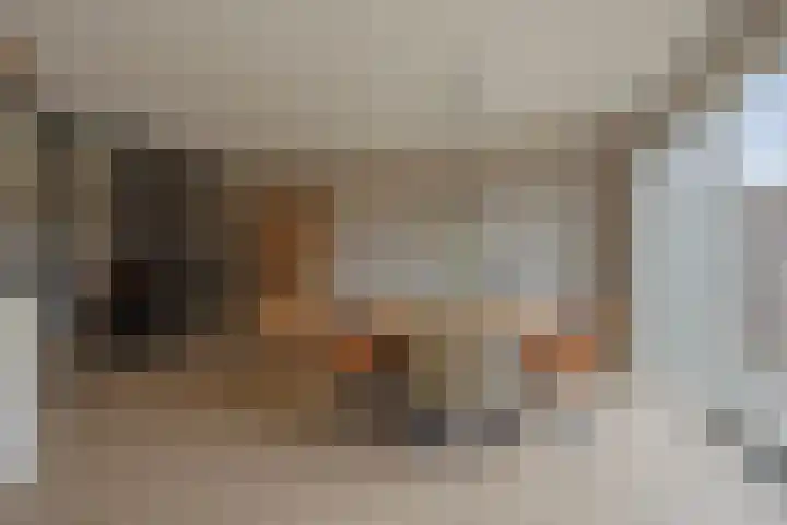 De Reimer 15 Zenderen thumbnail 4