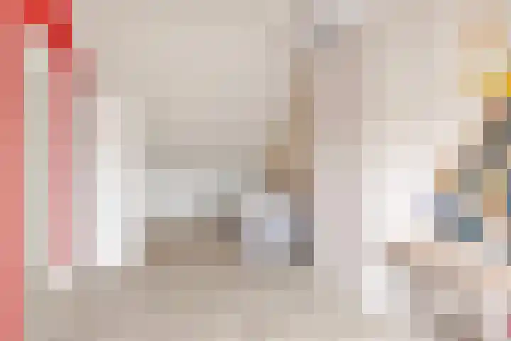 De Reimer 15 Zenderen thumbnail 43