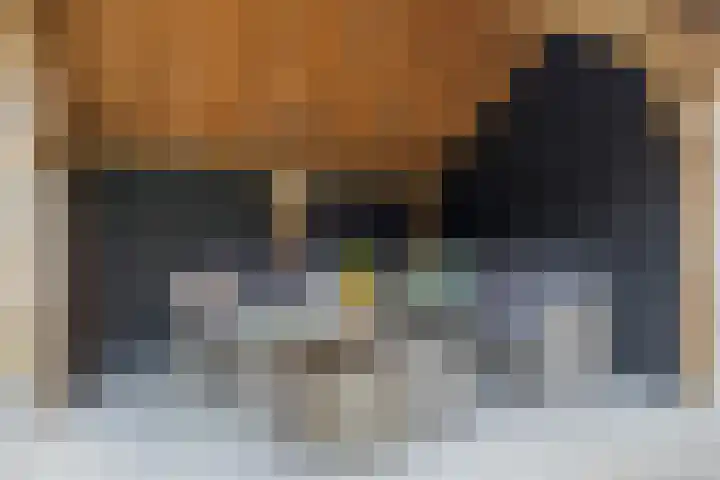De Reimer 15 Zenderen thumbnail 46