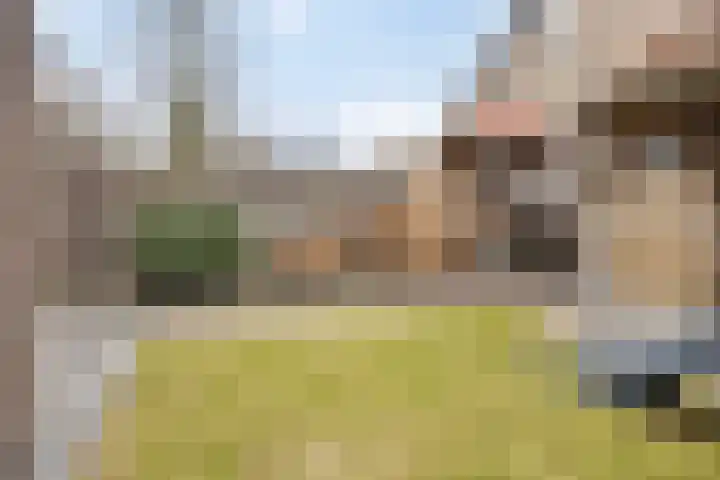 De Reimer 15 Zenderen thumbnail 48