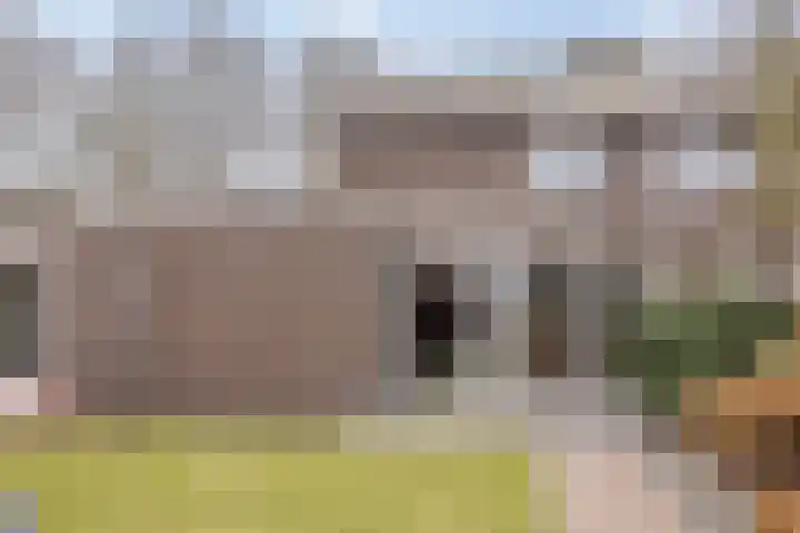 De Reimer 15 Zenderen thumbnail 49