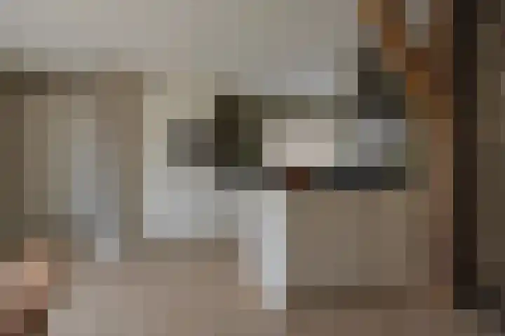 De Reimer 15 Zenderen thumbnail 5