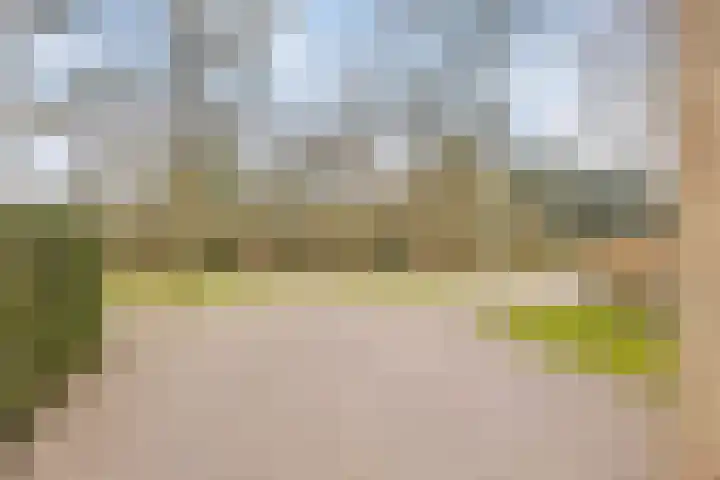 De Reimer 15 Zenderen thumbnail 7