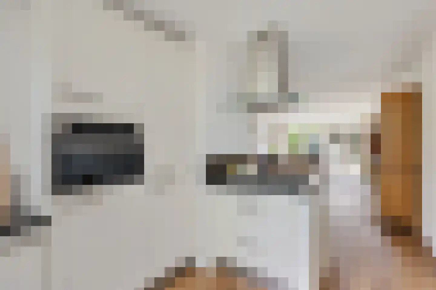 De Reit 12 Vleuten thumbnail 20