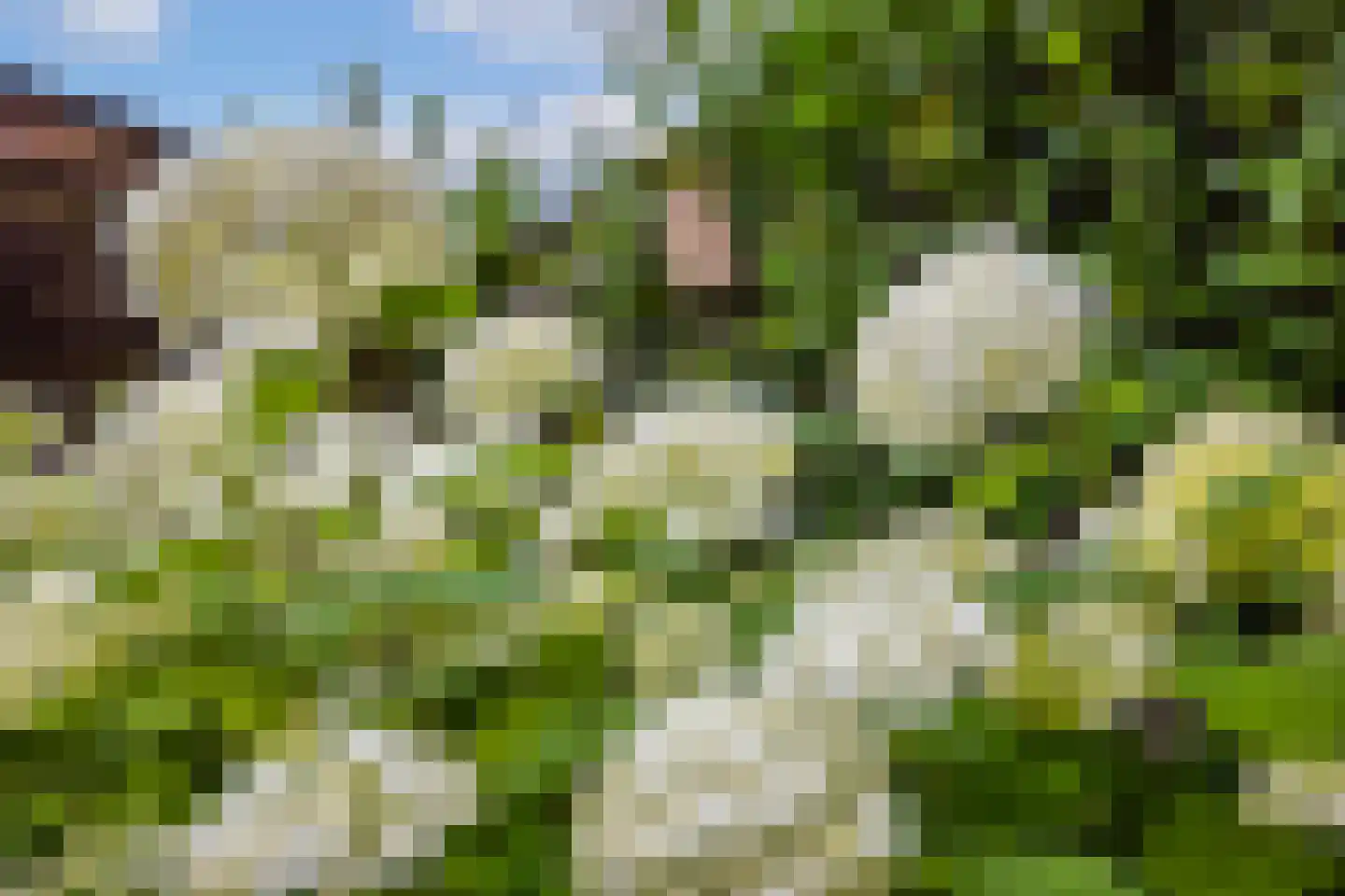De Reit 12 Vleuten thumbnail 24