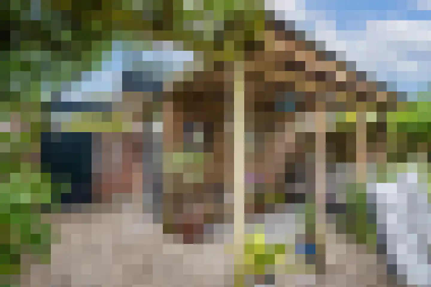 De Reit 12 Vleuten thumbnail 25