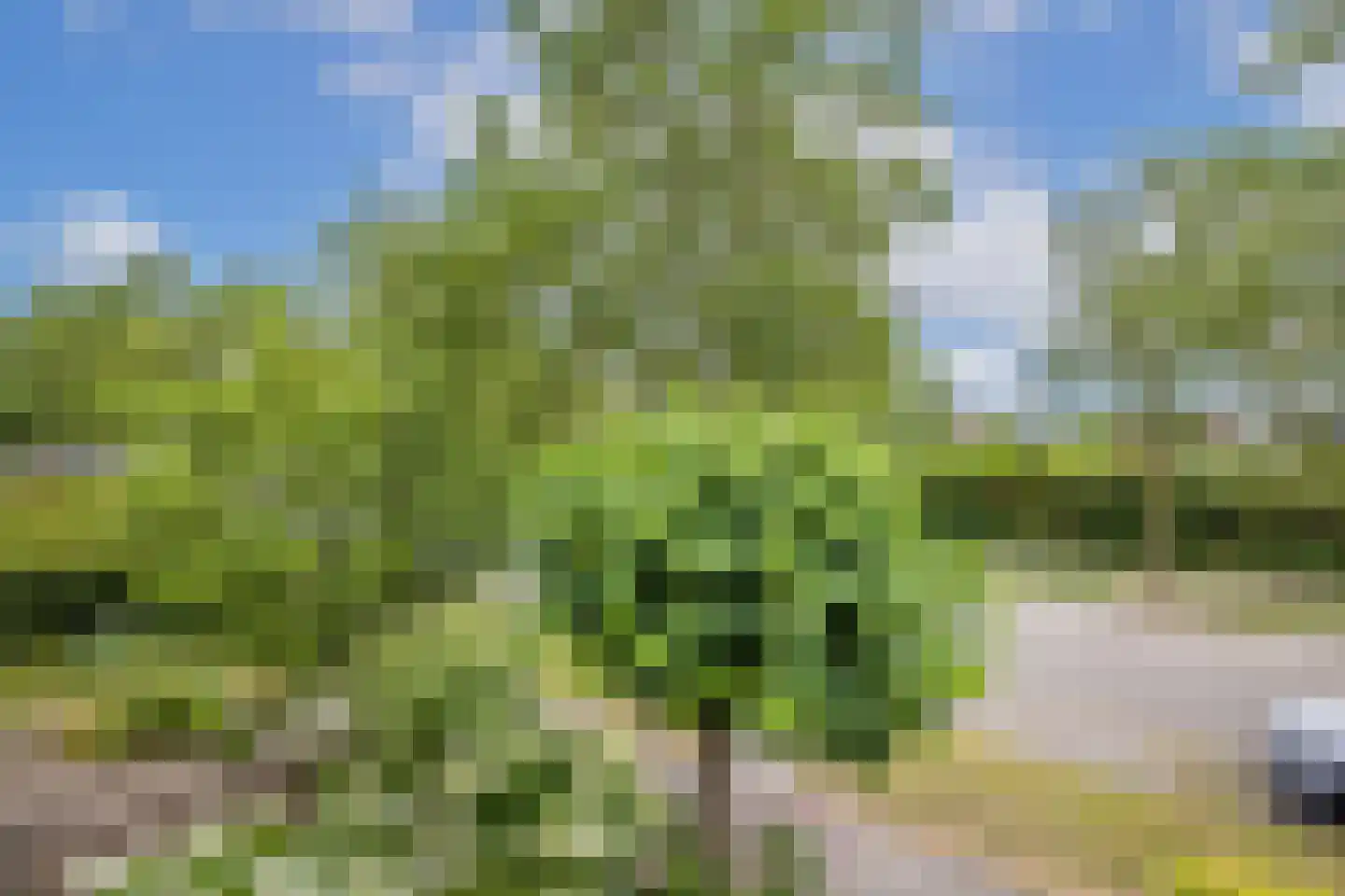 De Reit 12 Vleuten thumbnail 33