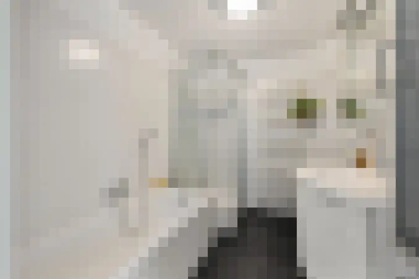 De Reit 12 Vleuten thumbnail 38