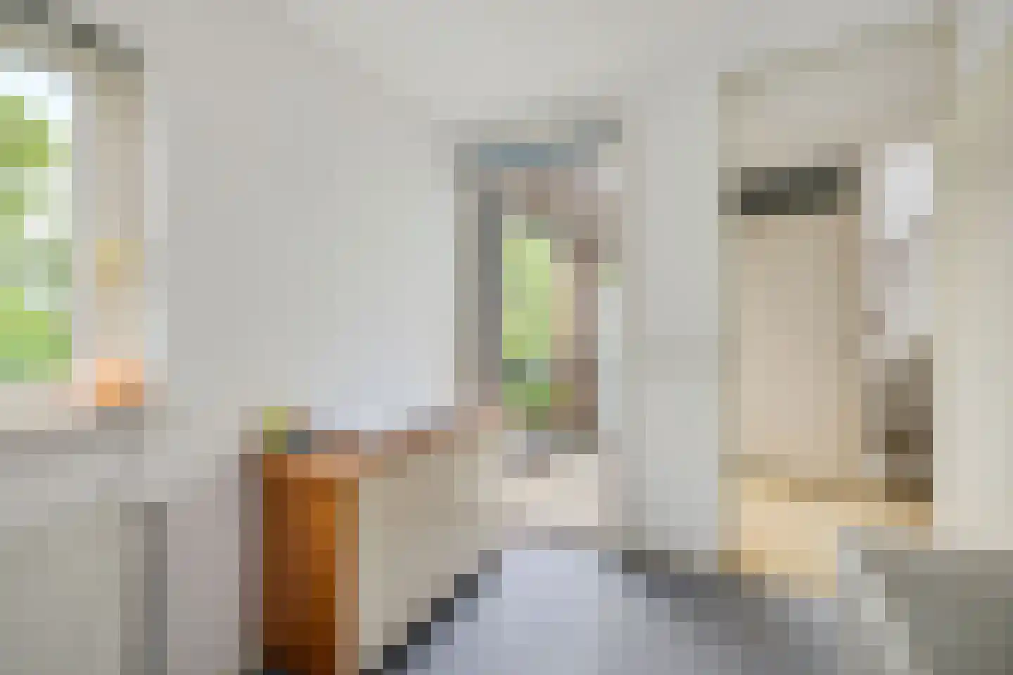 De Reit 12 Vleuten thumbnail 41