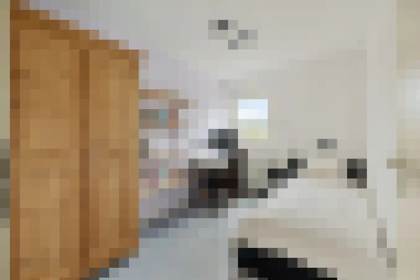 De Reit 12 Vleuten thumbnail 42