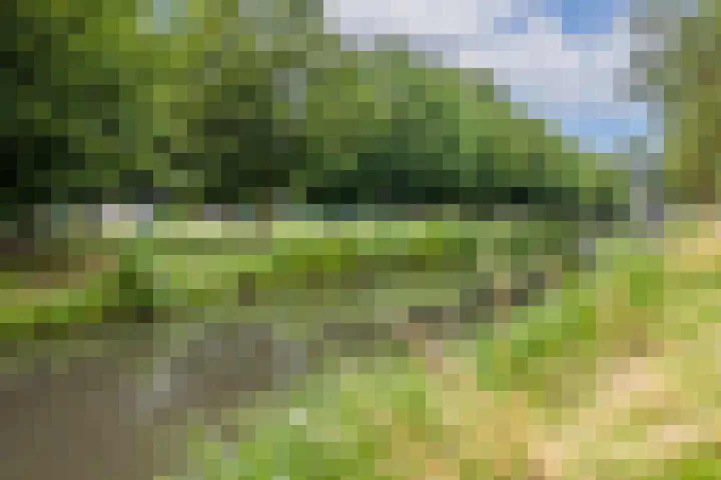 De Reit 12 Vleuten thumbnail 49