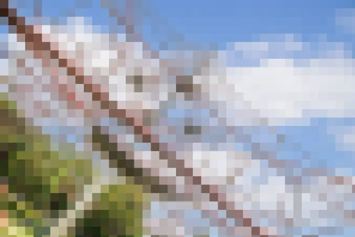 De Reit 12 Vleuten thumbnail 52