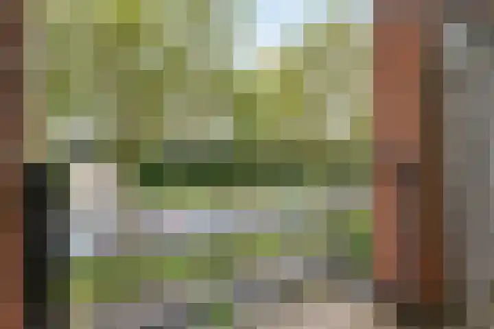 De Reit 16 Vleuten thumbnail 12