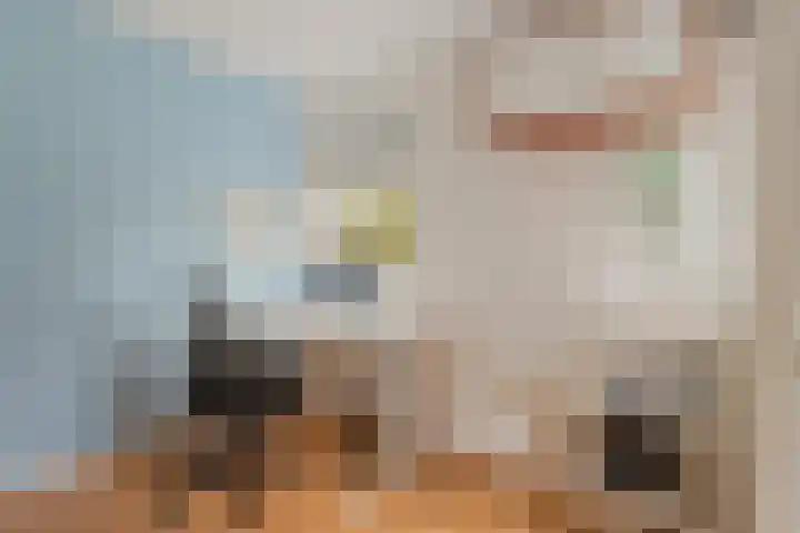 De Reit 16 Vleuten thumbnail 13