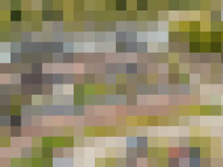 De Reit 16 Vleuten thumbnail 27