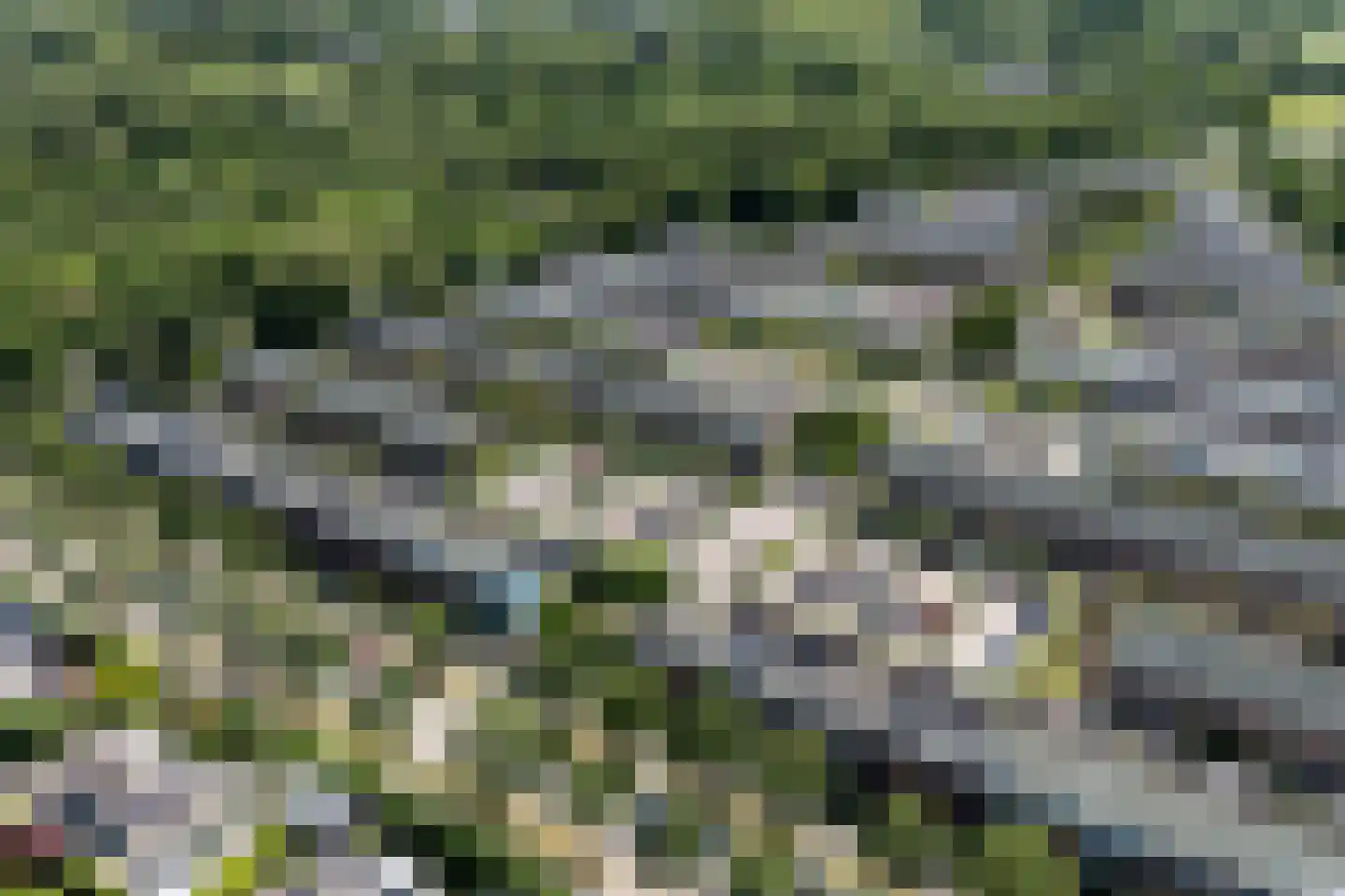 De Reit 22 Vleuten thumbnail 29