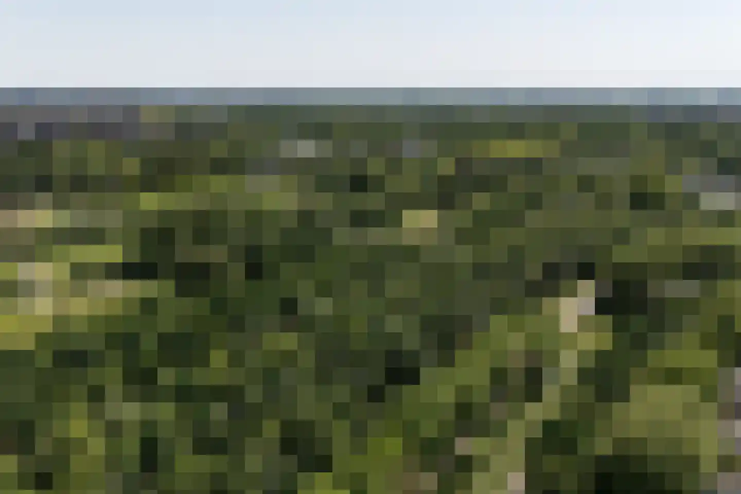 De Reit 22 Vleuten thumbnail 30
