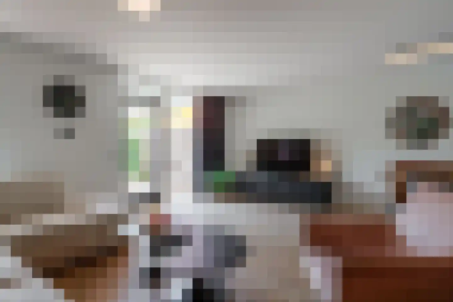 De Reit 22 Vleuten thumbnail 4
