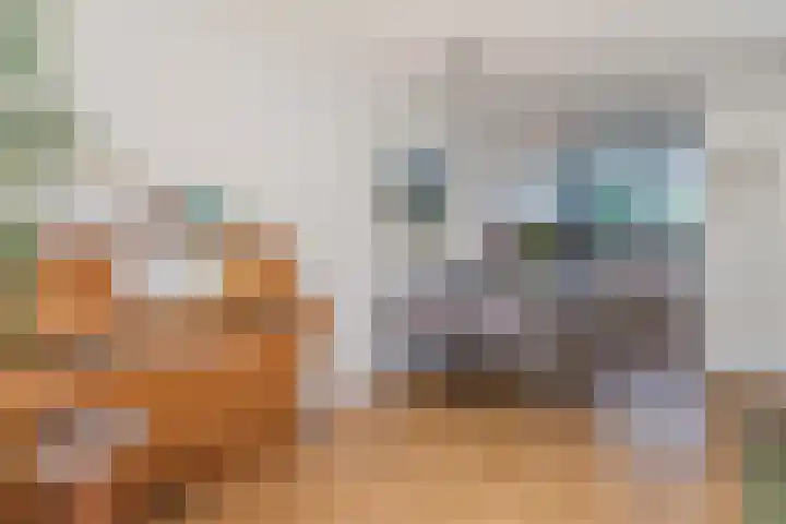 De Reit 8 Vleuten thumbnail 19