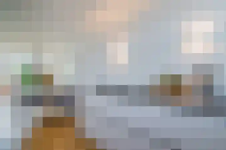 De Reit 8 Vleuten thumbnail 22