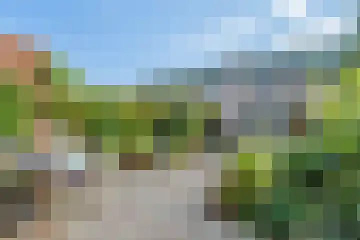 De Reit 8 Vleuten thumbnail 4