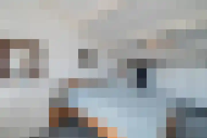 De Reit 8 Vleuten thumbnail 40