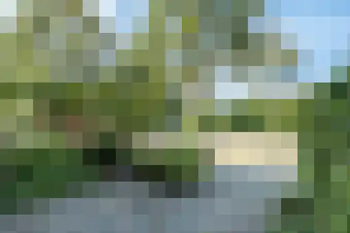 De Reit 8 Vleuten thumbnail 43