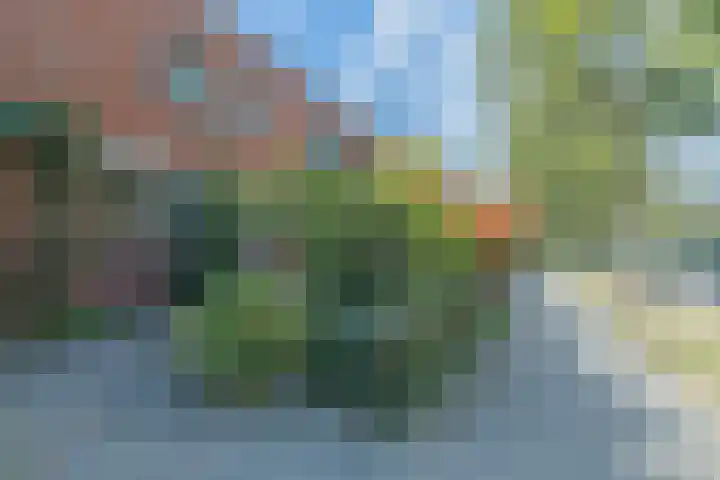 De Reit 8 Vleuten thumbnail 46