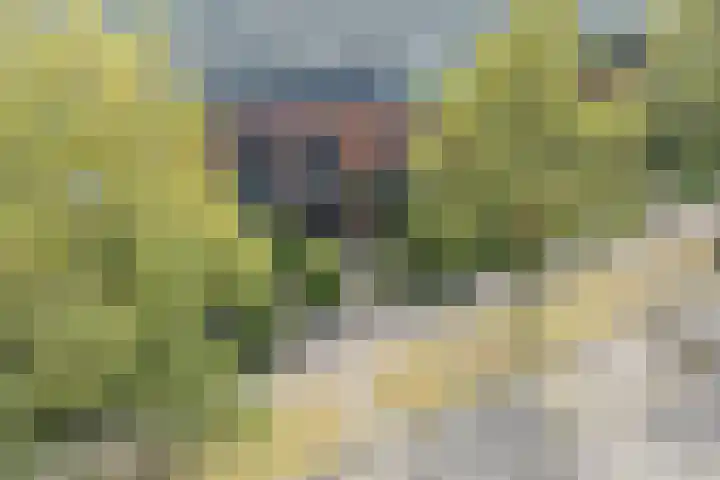 De Reit 8 Vleuten thumbnail 47