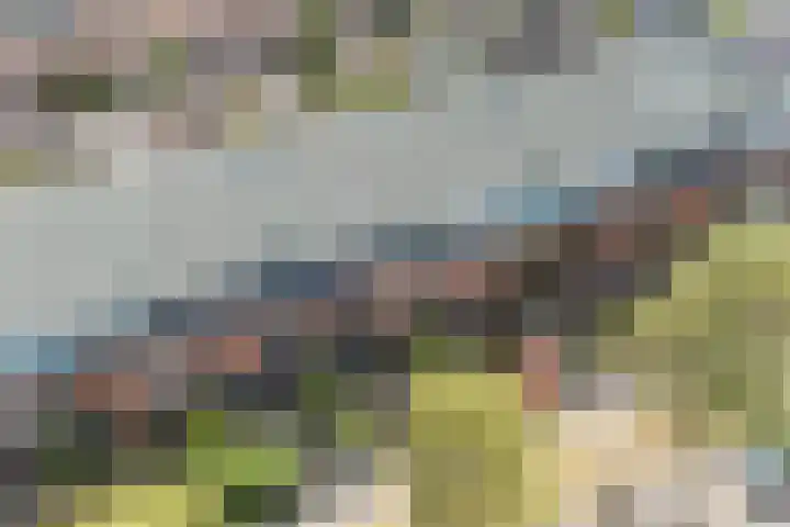 De Reit 8 Vleuten thumbnail 48