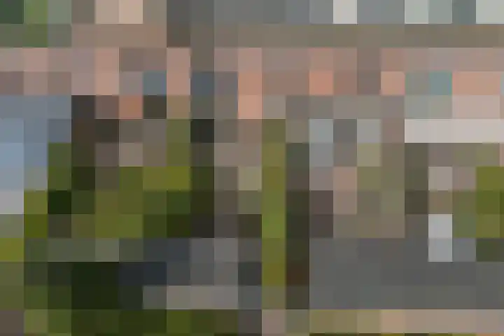 De Reit 8 Vleuten thumbnail 49